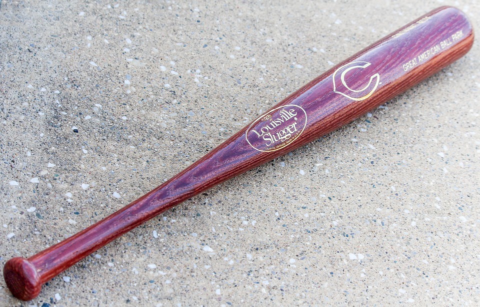 official baseball bat